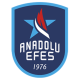 Anadolu Efes